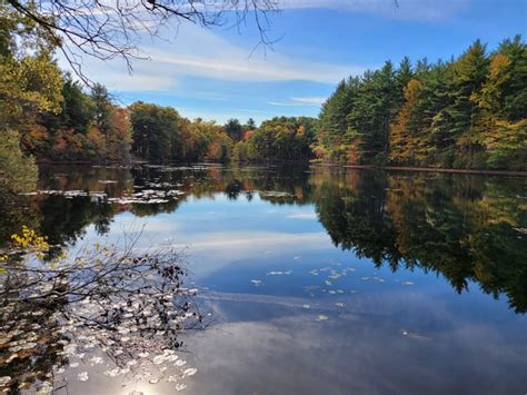 Rocky Woods Reservation Hiking Trails (Medfield, MA) - The River Chaz