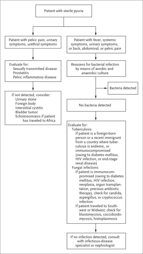 Which Disease Is Manifested By Dysuria And Pyuria - Captions Ideas