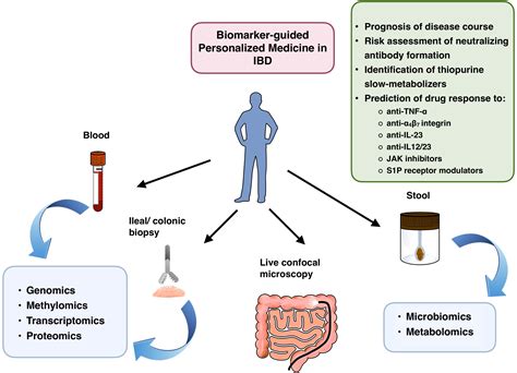 Frontiers | Molecular medicine-based IBD treatment strategies—we take it personally!