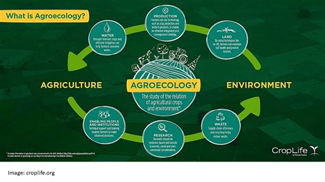 Sustainable & Innovative Agricultural Systems In-focus: Agroecology ...