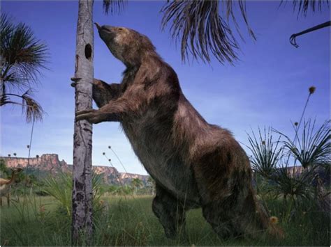 Project To Bring Back Giant Sloths Using DNA – MudFooted