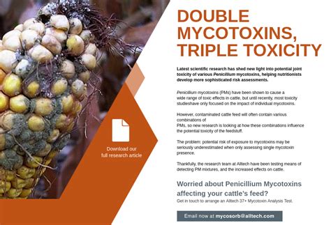 Double Mycotoxins - Mycotoxin Management - Issue 1