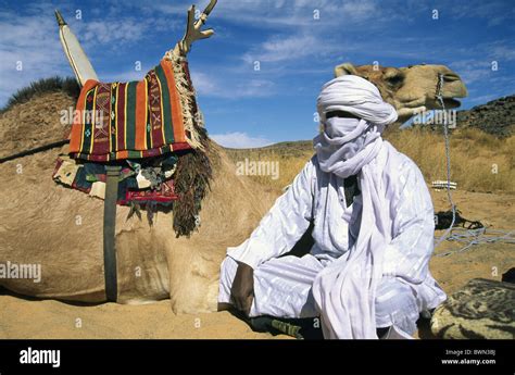 Tuareg Libya Africa local man camels nomadic people nomad nomads Sahara ...