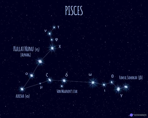 ALL 88 Star Constellations (+ Names & Meanings & Pictures)