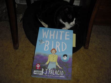 Grab A Book From Our Stack: "White Bird" by R. J. Palacio (a graphic children's novel)