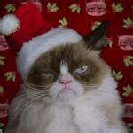 Grumpy Cat Christmas - Imgflip