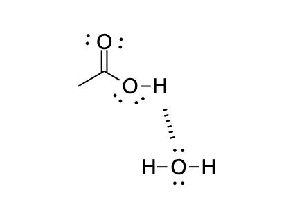 Draw structures to show all the types of hydrogen bonding present in an aqueous solution of ...