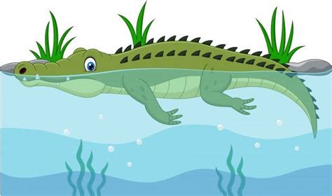 Cartoon Green Crocodile Swimming In The River in 2021 | Crocodile illustration, Cartoon, Crocodile