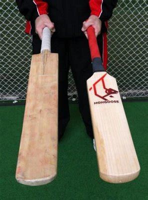 Mongoose Cricket Bat | Price Mongoose Bat Facts ~ Extraordinary Thing