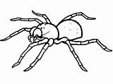 Printable Scary Spider coloring Page  Download Print Or Color Online sketch template
