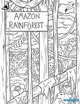 Rainforest Coloring Pages sketch template