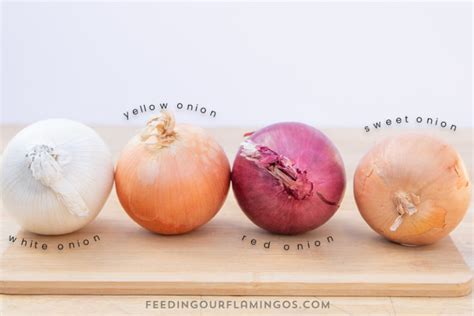 How to Chop Your Onions Faster and Avoid Tears | Feeding Our Flamingos