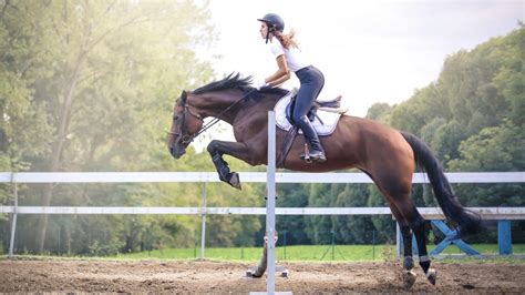 Is Horse Riding Good Exercise? Horseback Riding And Health.