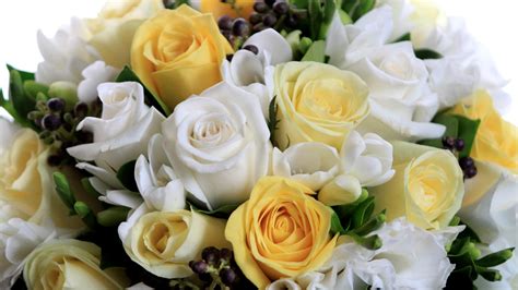 White and yellow roses in a bouquet on March 8 wallpapers and images - wallpapers, pictures, photos