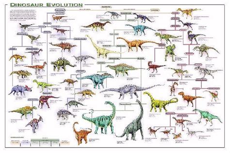 Dinosaur evolution | Dinosaur posters, Science chart, Evolution