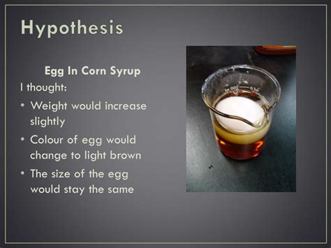 PPT - Egg Osmosis Experiment PowerPoint Presentation, free download - ID:5463230