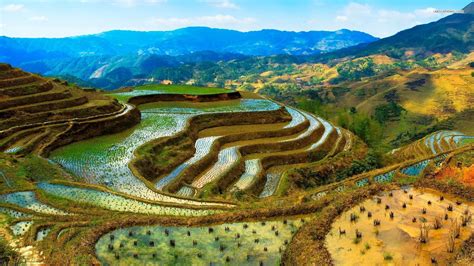 Banaue rice terraces, Rice terraces, Banaue