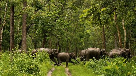 10 Kerala national parks you have to visit | Condé Nast Traveller India