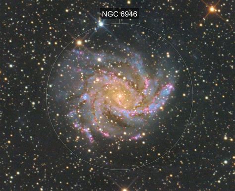 NGC 6946 Fireworks Galaxy [Crop] (Jürgen Ehnes) - AstroBin