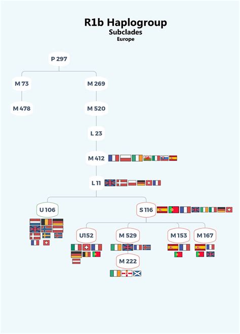 R1b Haplogroup- Subclades (Europe)