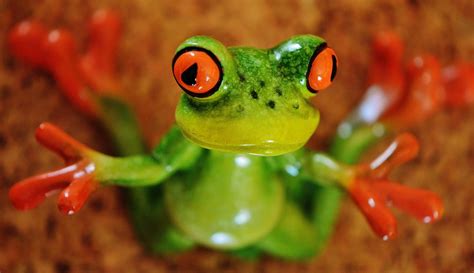 Frog Funny Figure · Free photo on Pixabay