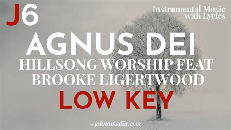 Hillsong Worship | Agnus Dei Instrumental Music with Lyrics Low Key ...