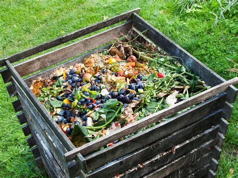 ShareWaste's Compost-Finding App Makes an Internet Community Grow | WIRED