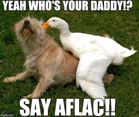 Aflac Duck | Aflac duck, Aflac, Duck memes