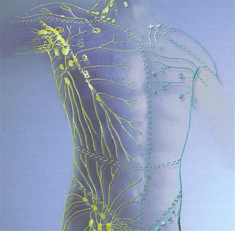 Manual Lymphatic Drainage Edinburgh at Karen Flores blog