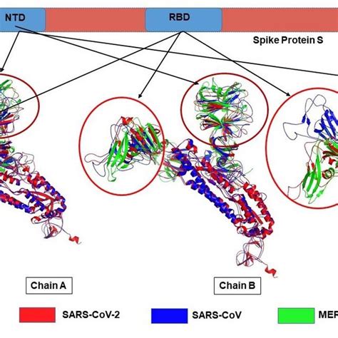 B-cell epitopes predicted using Bepipred linear epitope prediction 2.0... | Download Scientific ...