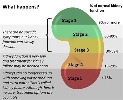 Kidney insufficiency. GFR | Kidney disease awareness, Kidney health, Kidney disease diet