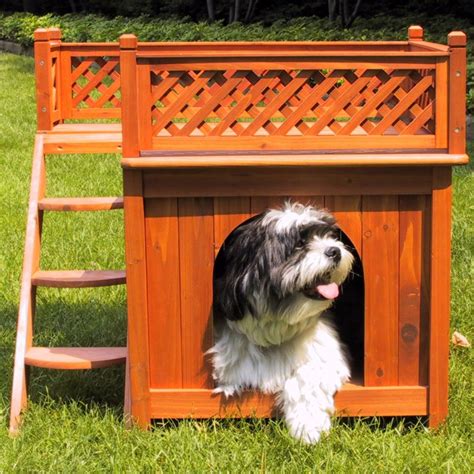 34 Doggone Good Backyard Dog House Ideas