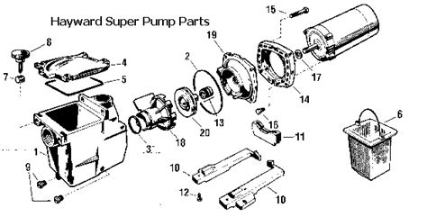 Hayward Super Pump Troubleshooting & Repair Guide