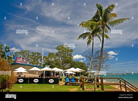 Coastal coast palm trees hi-res stock photography and images - Alamy