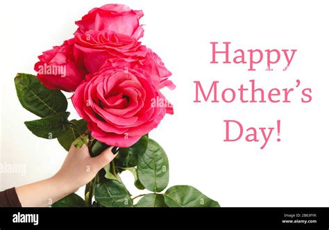 Happy Mothers Day text on white background with flower bouquet of pink roses in female hand ...