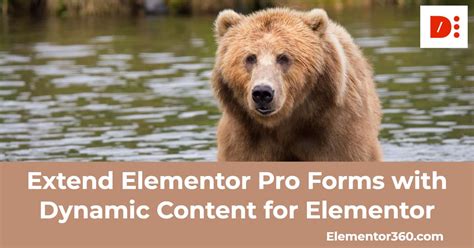 Extend Elementor Pro Forms with Dynamic Content for Elementor - E360