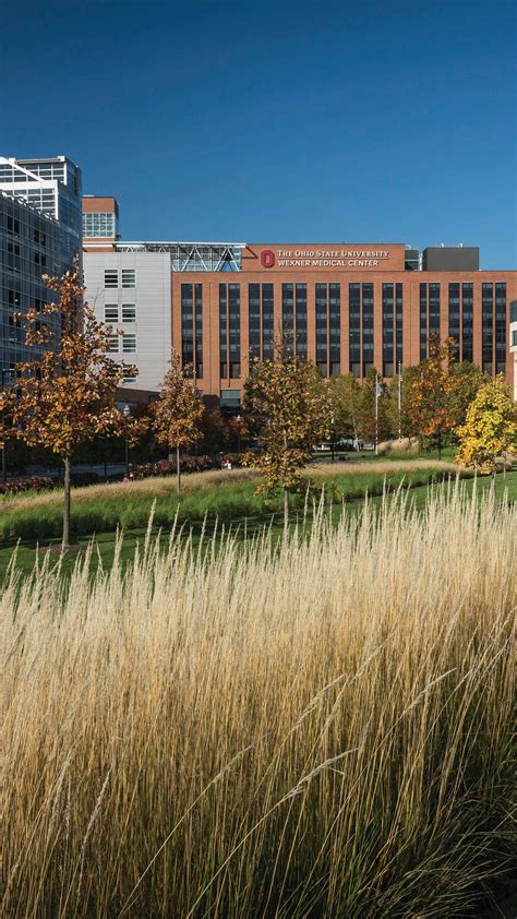 Download Caption: Ohio State University Medical Center at golden hour ...