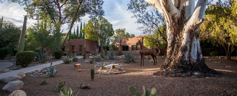 Canyon Ranch Wellness Resort Tucson, Arizona | The Spa Connection