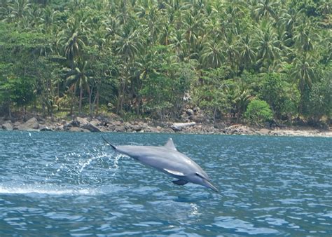 Trekking the volcano on Savo Island in the Solomons