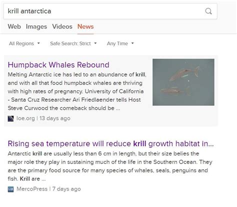 Antarctic Krill Thriving Causing Whale Population To Increase. Very ...