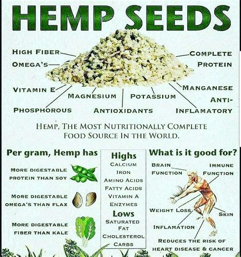 Hemp seeds health benefits #plantpowerz | Herbs for health, Dr sebi ...