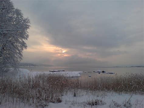 Bygdøy (Oslo) in winter - Scandinavia Wallpaper (603909) - Fanpop