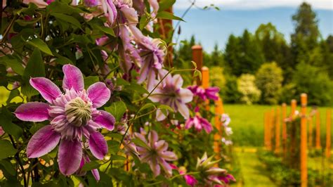 Oregon’s Lushest Gardens - Travel Oregon