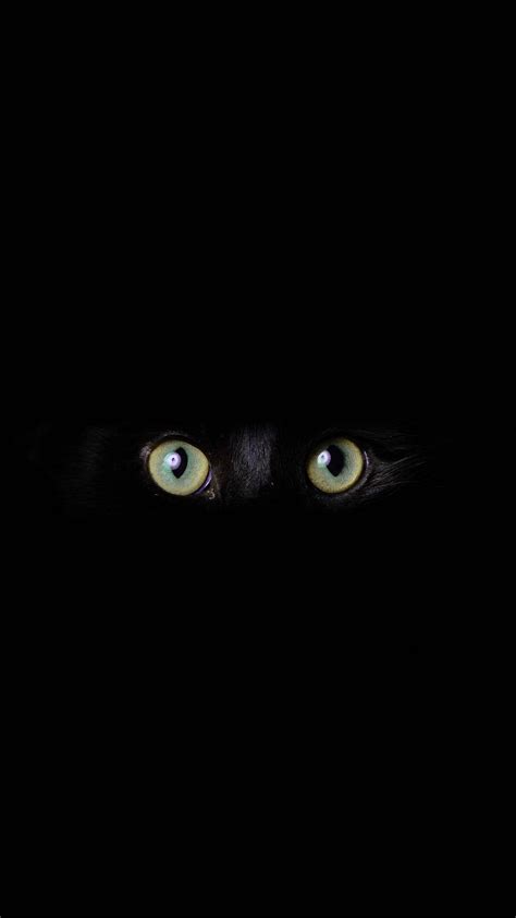 Download wallpaper 1350x2400 cat, eyes, glance, black, darkness iphone ...