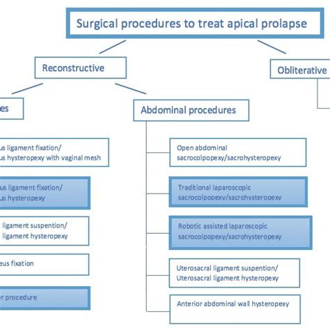 (PDF) Safety and effectiveness of surgical procedures to treat apical prolapse. Comparison of ...