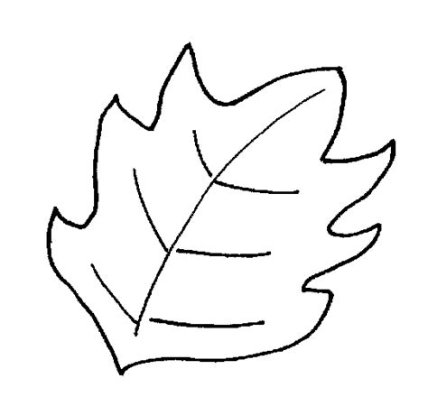 Autumn Leaf Outline - ClipArt Best - ClipArt Best