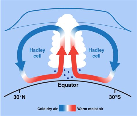 What are the trade winds? | The Weather Guys