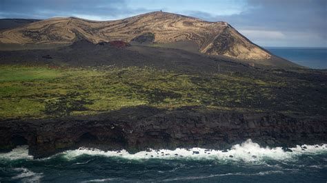 Top 115+ Surtsey island animals - Merkantilaklubben.org