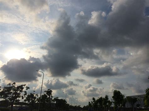 sunny day | Sky, Clouds, Outdoor