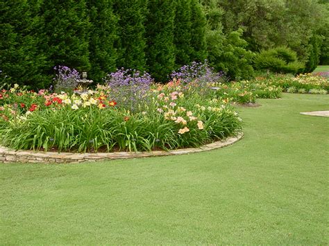 Garden Photo Today: A sunny garden in the round